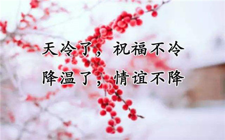 今日立冬-關愛如春，溫暖前行