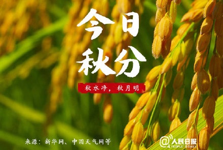 秋分