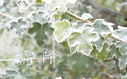 霜降
